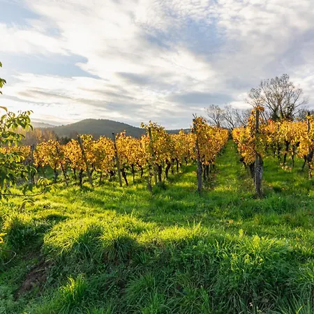 Sylvie Fahrer Et Fils Saint-Hippolyte